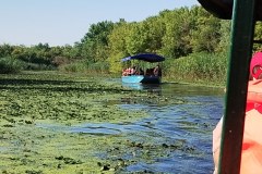 IMG-07df0f4b97a035e63fe2b023a2f0c0a9-V