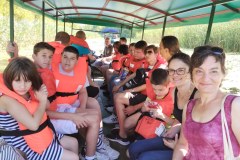 IMG-f54928c748594af0b5463ea992d08cf0-V