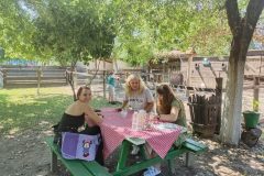 IMG_20230715_103236-scaled