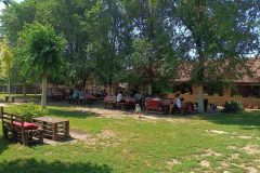 IMG_20230715_103546-scaled